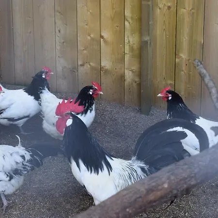 Papenhoef